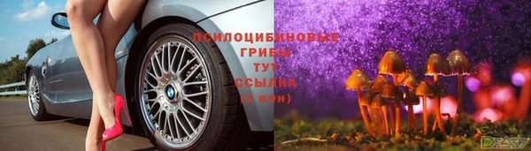 гидропоника Видное