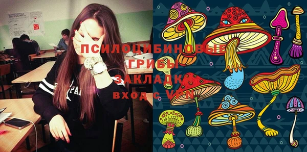 MDMA Premium VHQ Нязепетровск