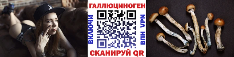 Псилоцибиновые грибы Magic Shrooms  Ростов-на-Дону 
