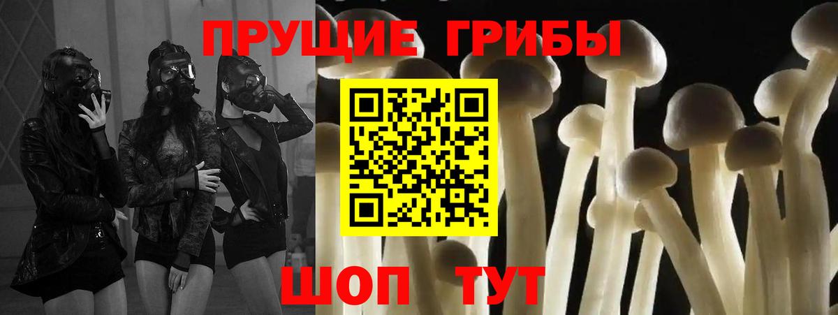 Псилоцибиновые грибы GOLDEN TEACHER  Вход с VPN  Ростов-на-Дону  Псилоцибиновые грибы GOLDEN TEACHER 